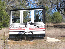 Bush walk at Ceramic Break Sculpture Park